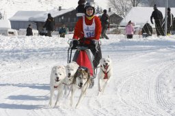 Lenk 2012 SM